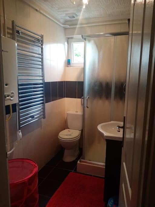 شقة D38 Pestelizabeth Apartman بودابست المظهر الخارجي الصورة